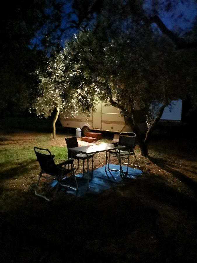 Umna & Room Pula Rum bild